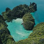 jungle islands